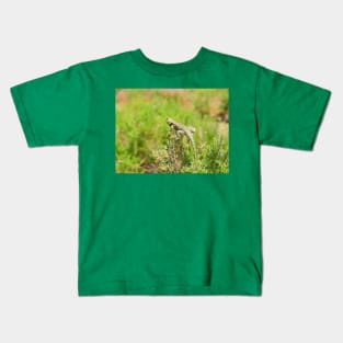 Lizards, yellow backed spiny lizard, reptiles, On the Lookout Kids T-Shirt